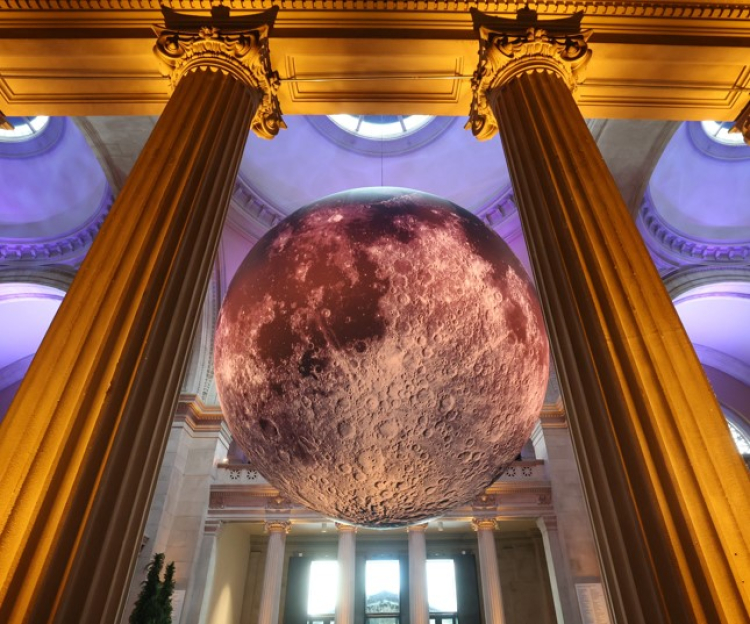 The Art of the Met Gala Interior Design: Όλη η υψηλή τέχνη της εσωτερικής διακόσμησης σε έναν χώρο
