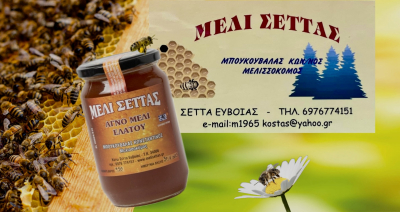 &Mu;έ&lambda;&iota; &Sigma;έ&tau;&tau;&alpha;&sigmaf; &Alpha;&pi;ό &Tau;&eta;&nu; &Omicron;&iota;&kappa;&omicron;&gamma;έ&nu;&epsilon;&iota;&alpha; &Mu;&pi;&omicron;&upsilon;&kappa;&omicron;&upsilon;&beta;ά&lambda;&alpha;