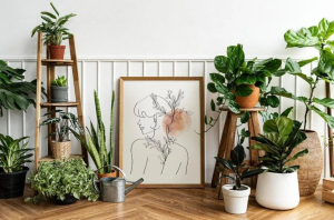 Φυτά με εύκολη φροντίδα για να προσθέσεις στην διακόσμηση σου