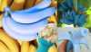 Blue Java banana: &Gamma;&nu;&omega;&sigma;&tau;ή &kappa;&alpha;&iota; &omega;&sigmaf; &mu;&pi;&alpha;&nu;ά&nu;&alpha; &pi;&alpha;&gamma;&omega;&tau;ό