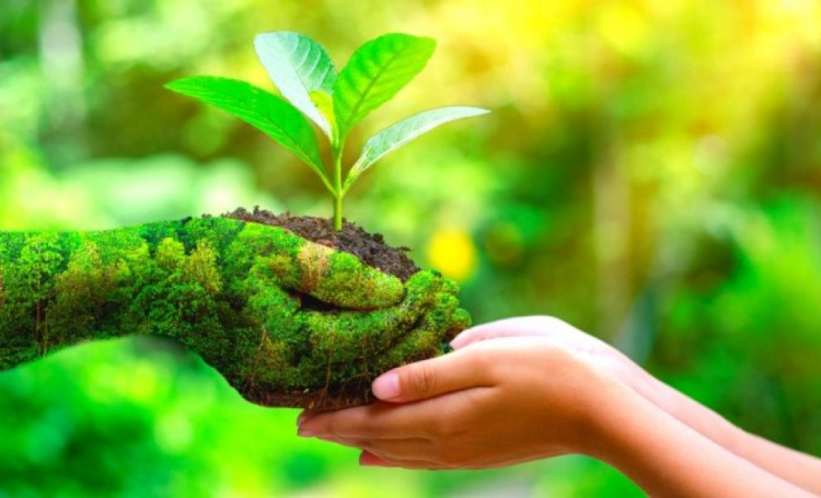 2η Ευβοϊκή Γιορτή Τοπικών Σπόρων στον Μύτικα